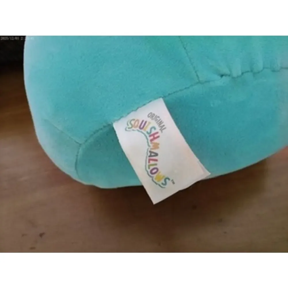Squishmallows Robert Aqua Frog Plush Blue Floral Belly 8